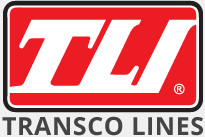 The TLI logo featuring a modern design with bold typography, representing the City Mall Retail Center.